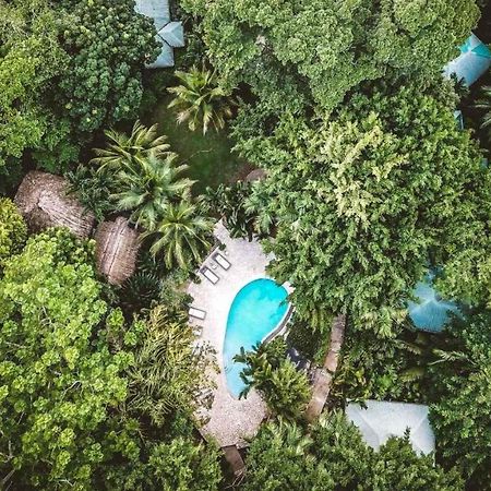 Copal Tree Lodge A Muy'Ono Resort Toledo District Екстериор снимка