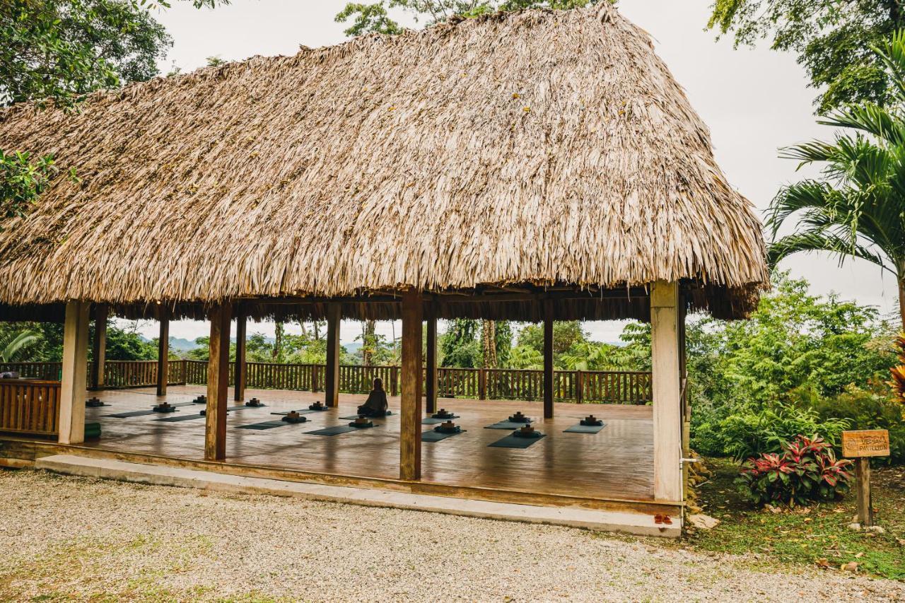 Copal Tree Lodge A Muy'Ono Resort Toledo District Екстериор снимка