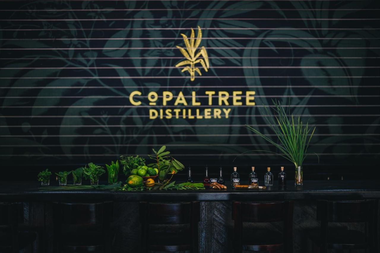 Copal Tree Lodge A Muy'Ono Resort Toledo District Екстериор снимка