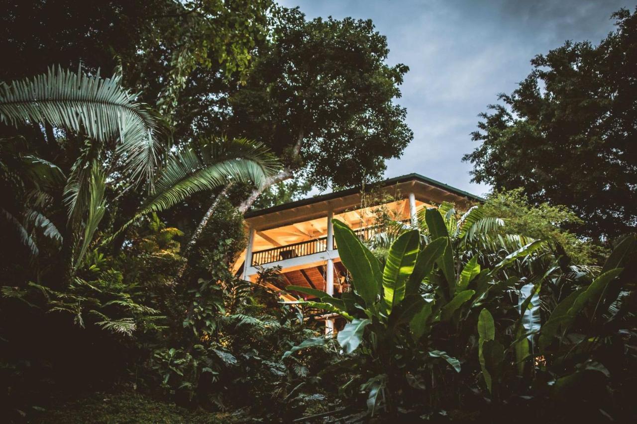 Copal Tree Lodge A Muy'Ono Resort Toledo District Екстериор снимка